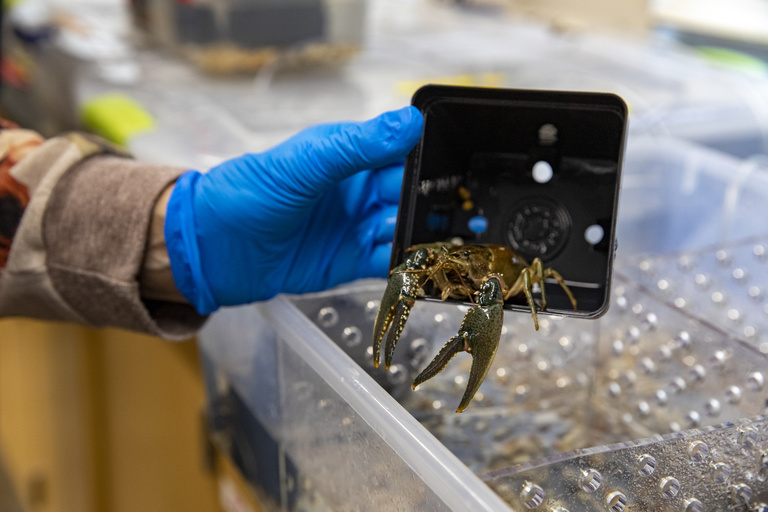 Photo from Animal Behavior Laboratory course in Fall 2023