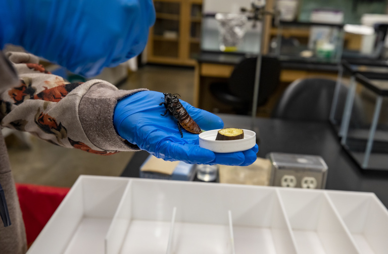Photo from Animal Behavior Laboratory course in Fall 2023